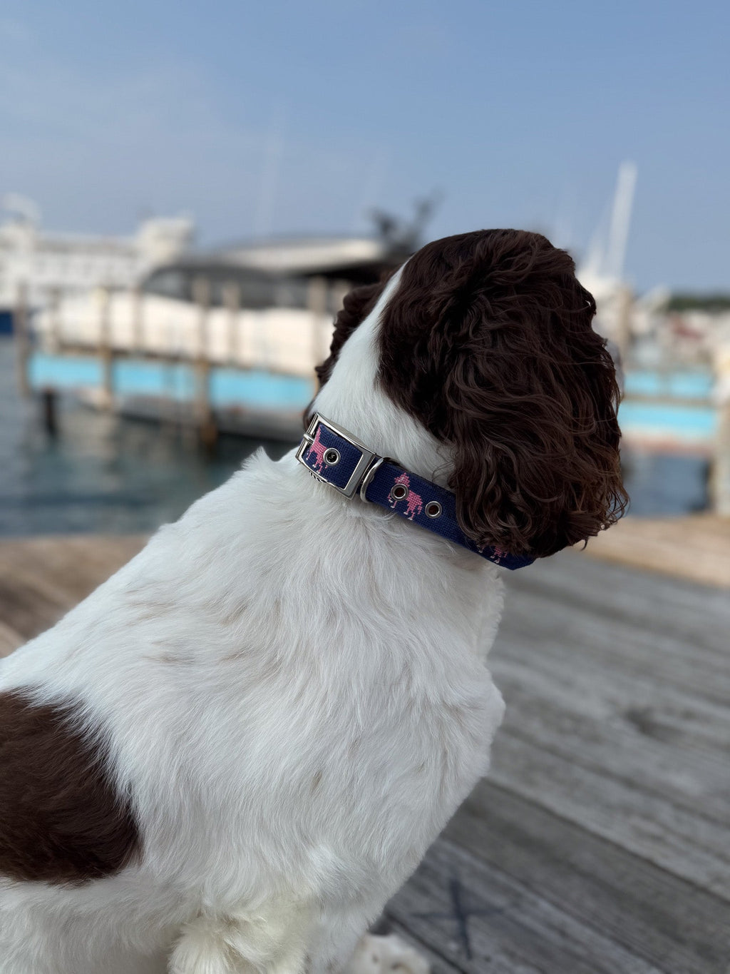 Pink Pony Icon Dog Collar