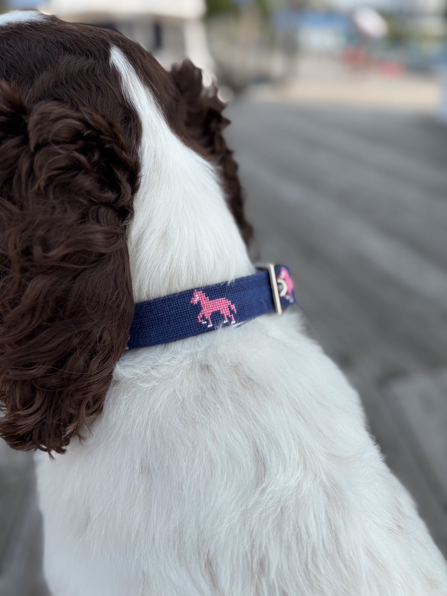 Pink Pony Icon Dog Collar