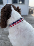 SB Dog Collar