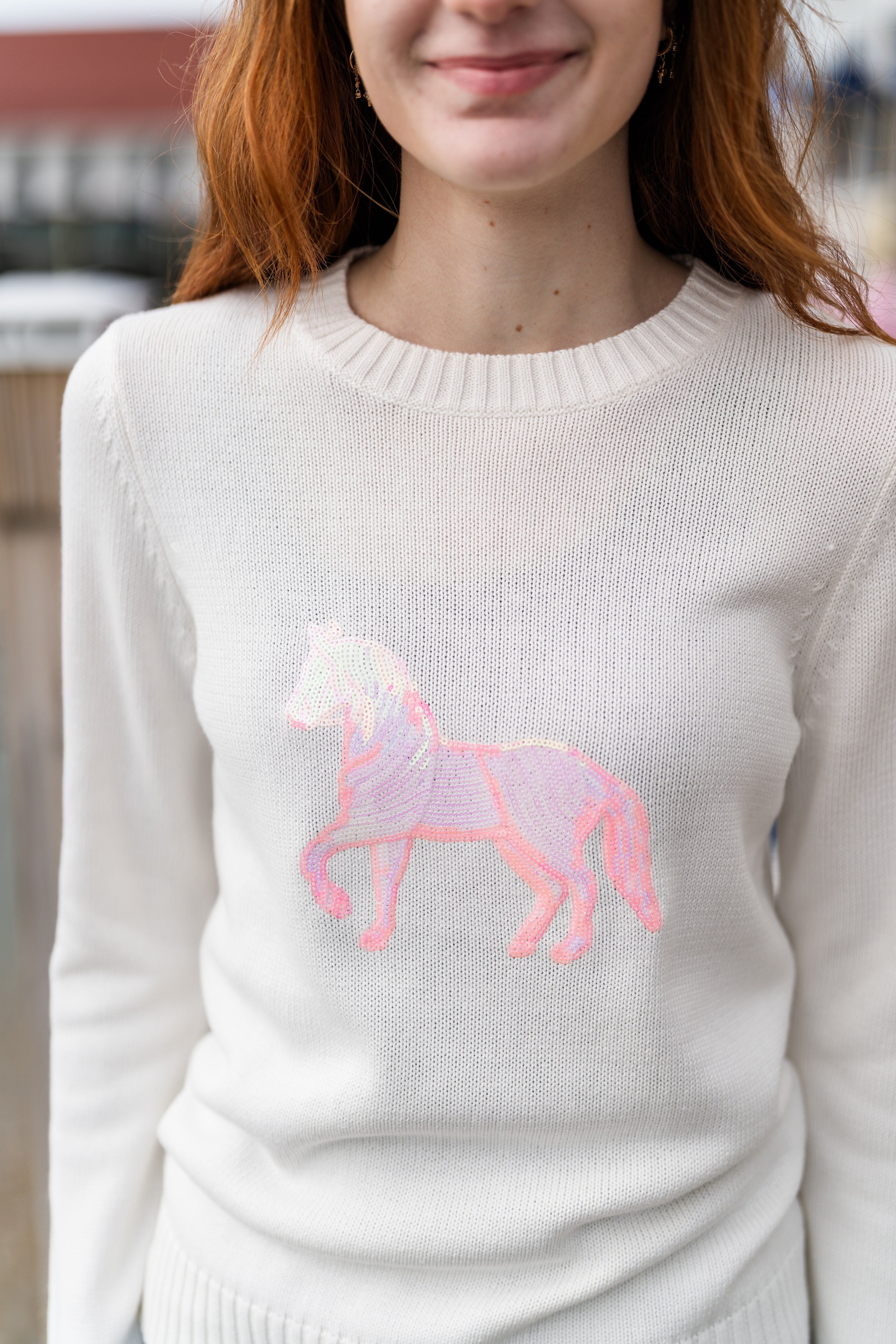 Classic Crewneck Sequin Pony Sweater
