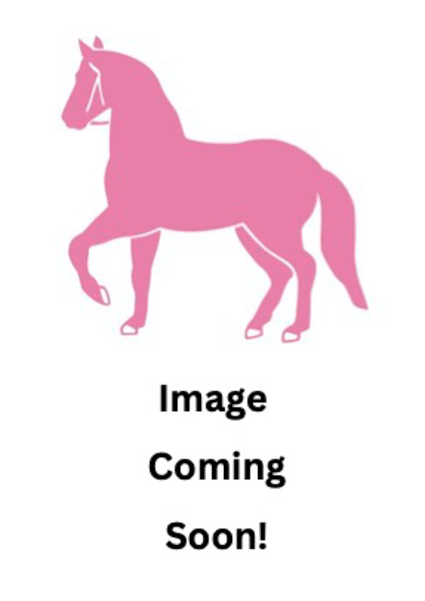 Next Ferry Crew Sweatshirt